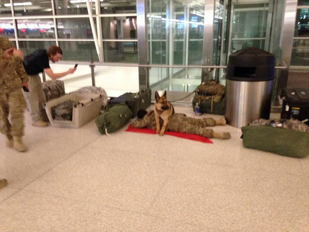 @votevets Faithful Guardians #WarDogs ❤️🙏