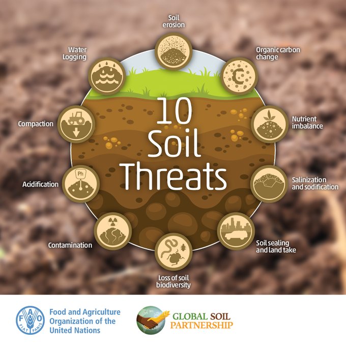 🌱 The Status of the World's Soil Resources report has identified 10 threats to our #Soil 👉🏿👉🏿👉🏿 tiny.cc/emf6vz It's time to step up together to #SaveSoil & prioritize #SoilHealth for healthy crops, clean #Water, and thriving biodiversity‼️ Via @FAOLandWater