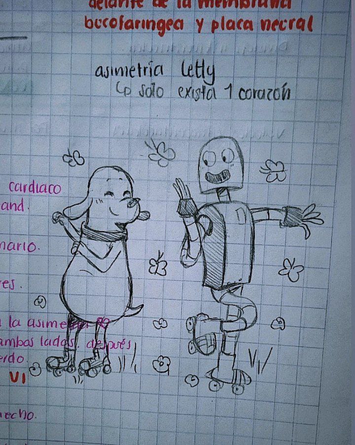 Doodle of Robot and Dog that I did on my Embryology notes. At first the central art of the cardiogenic area is located in front of the buccopharyngeal membrane and neural plate. 
🤖🐶☀️🌻