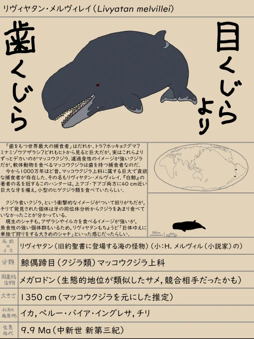 白鯨?リヴィアタン・メルビレイ! | こがね #pixiv https://t.co/2Jh740KtJM 

メガロドンのライバルとして描かれがちだけれど,現代のシャチーホホジロザメの関係を鑑みるに,そこまで対等ではなさそう.

#やんわりッ古生物 #古生物 