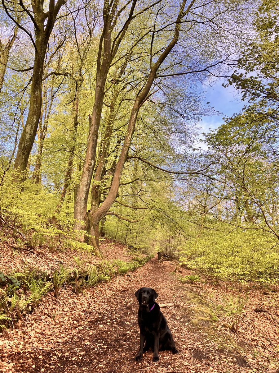 Bright skies and the best company on a Saturday morning 🤍