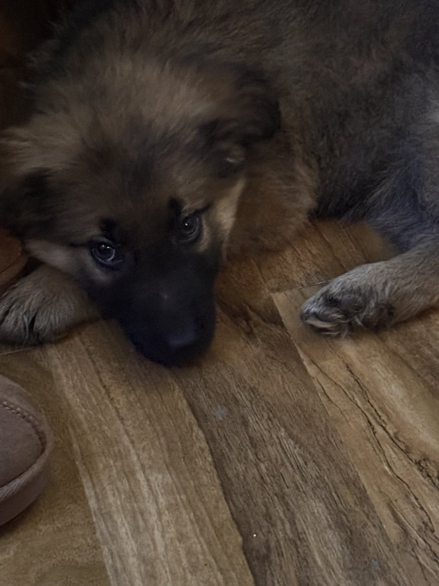 🥰