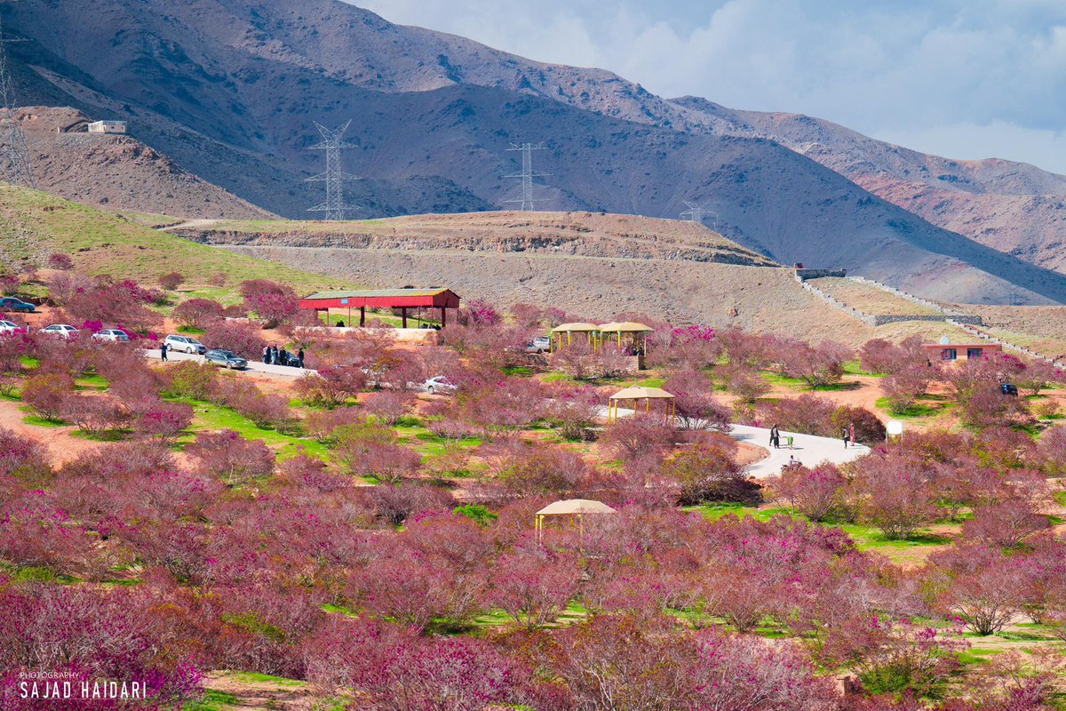 Parwan, Afghanistan ❤️
📸 Sajad Haidari