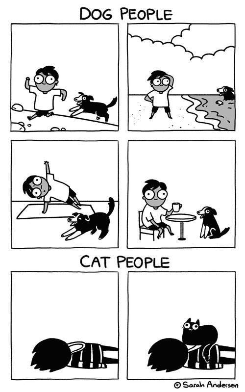 womensart1's tweet photo. Sarah Andersen, contemporary US cartoonist and illustrator  #WomensArt #Caturday https://t.co/BCs4pL2RaO