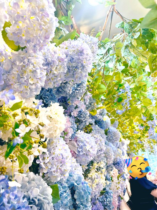 「紫陽花」のTwitter画像/イラスト(新着)