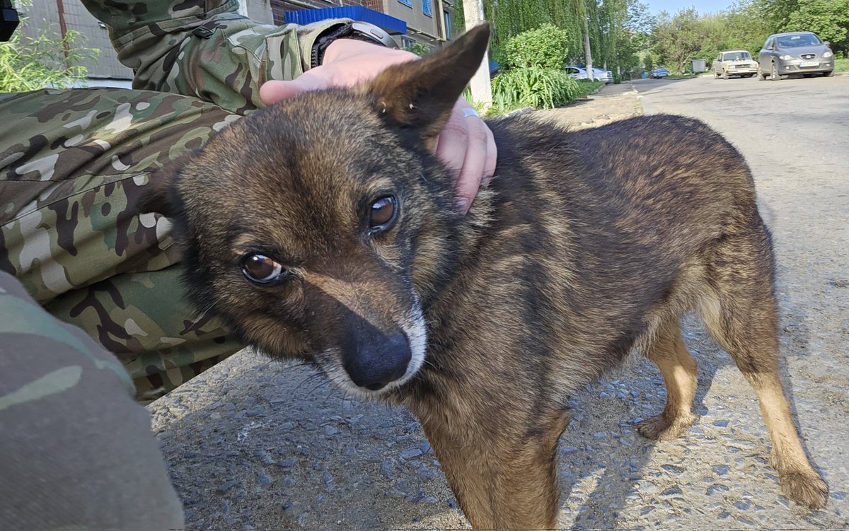 Попросили допомогти другому екіпажу пілотів від арти, їм не так повезло як першому, бо бригадні зарядки наразі 👉👌 Давайте даванем ті 36к і зробимо вигляд що вони не повернуться ще з тим самим списком приколів як їх колеги. Фунтік приєднується до запиту send.monobank.ua/jar/9raNyiqjC2