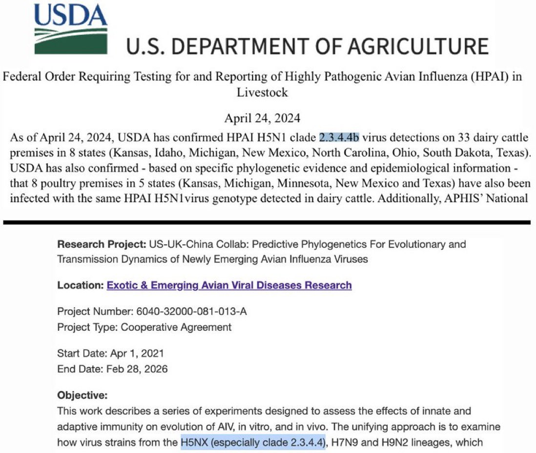 La souche largement répandue actuelle de la grippe aviaire H5N1 (clade 2.3.4.4b) qui infecte les bovins appartient au même clade H5N1 (2.3.4.4) sur lequel le @USDA a effectué des gains de fonction avant le début de l’épidémie😏😓⬇️ aphis.usda.gov/sites/default/… ars.usda.gov/research/proje…