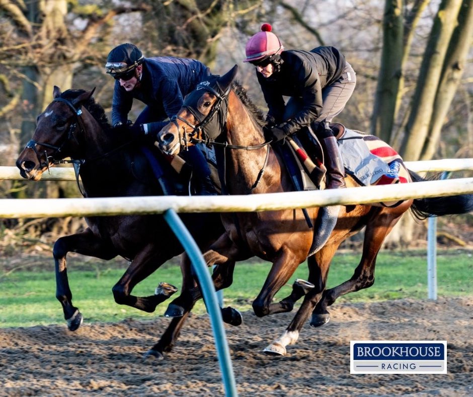 Brookhouse Airlines ✈️✈️ 𝙏𝙖𝙘𝙩𝙞𝙘𝙖𝙡 𝘾𝙤𝙣𝙩𝙧𝙤𝙡 with pilot @JackGilligan14 on the outside of @josephinegordo with 𝙋𝙧𝙤𝙛𝙞𝙩𝙢𝙖𝙣. #TeamBrookhouse