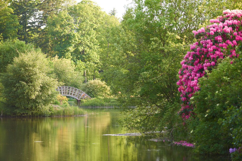 Retreat & Recharge in Forres #EscapeYourEveryday It's time to recharge as we explore the best accommodation as well as look at why Forres is the ideal location for your next retreat. morayspeyside.com/find/places-to… 📌 - Forres 📷 - Findhorn Foundation, Ramnee Hotel, The Loft & Burgie