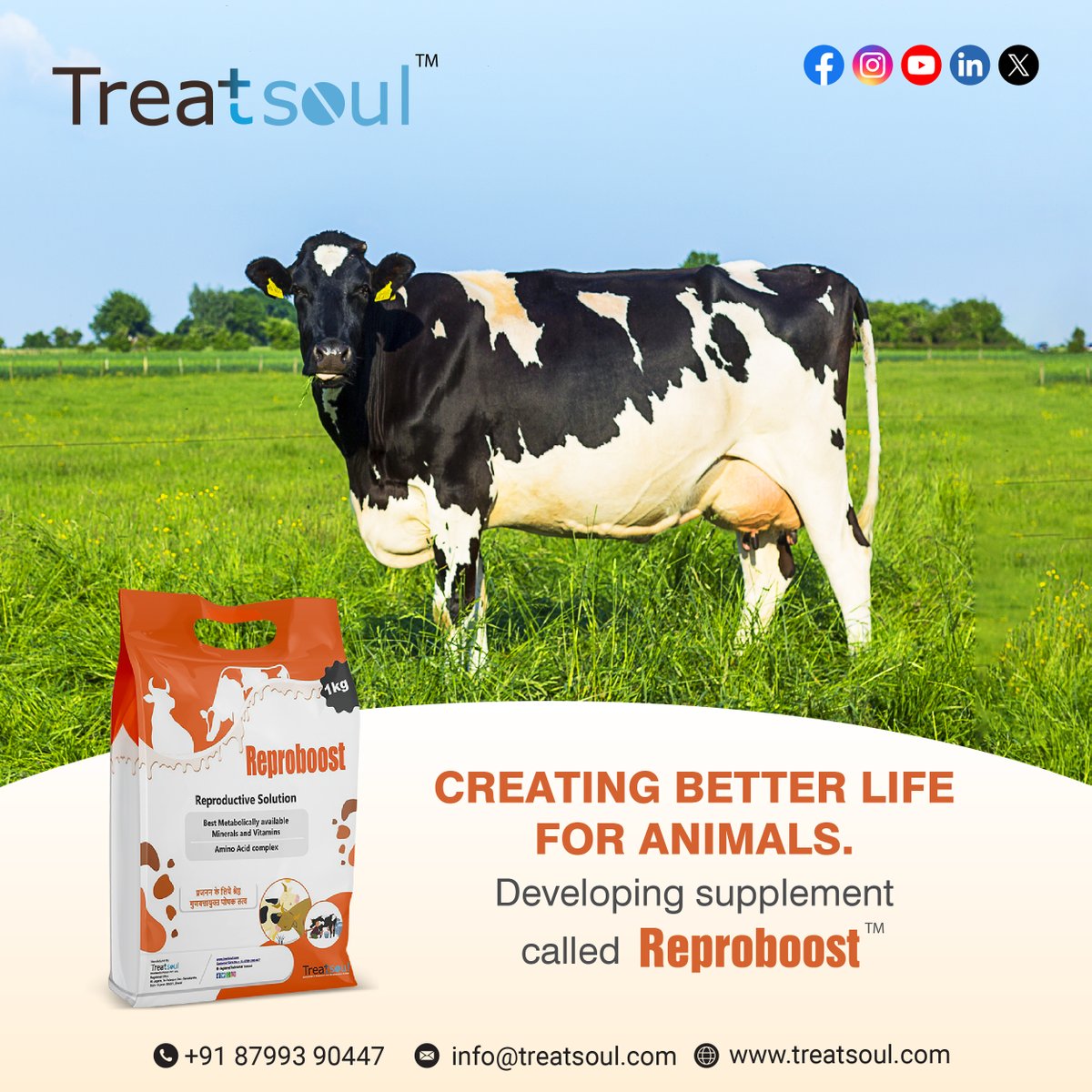Discover Reproboost, our innovative supplement developed to enhance the health and performance of animals. With its unique formulation, Reproboost aims to optimize nutrition and support overall well-being, ensuring a better quality of life for our beloved animals.
#Treatsoul