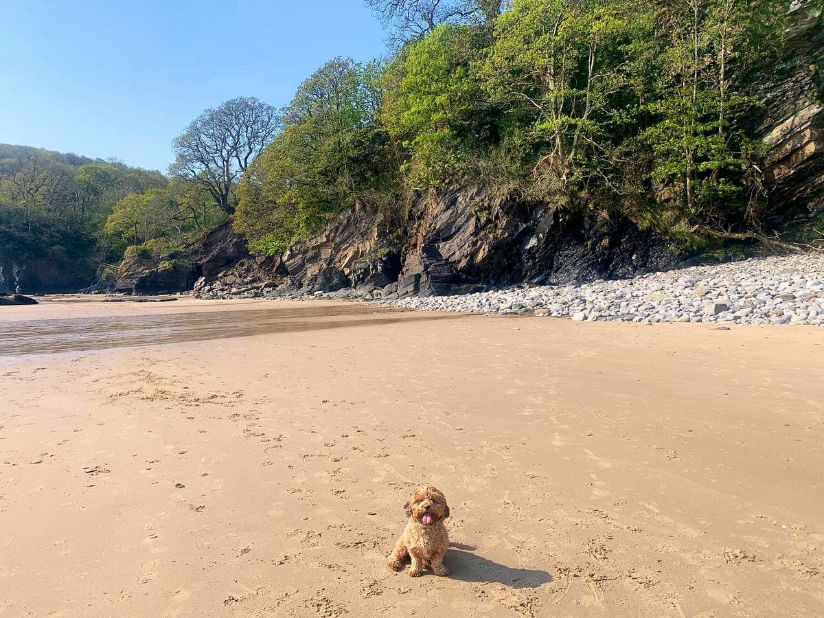 Saundersfoot 🌊🏴󠁧󠁢󠁷󠁬󠁳󠁿☀️