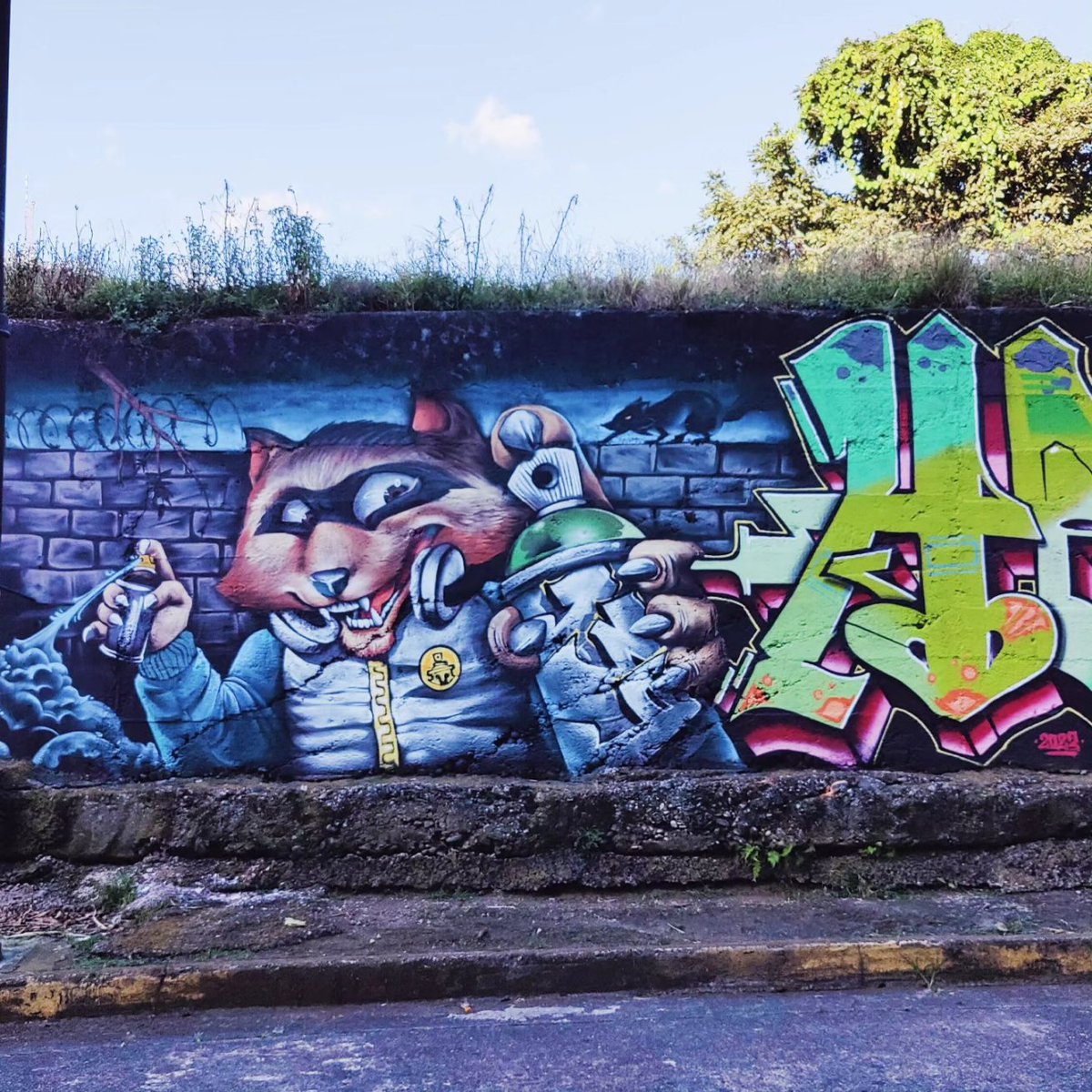 #streetartsaturday vibrant works from #sanjosé. #streetartists are allowed to #paint / #tag in some areas so walls are ever-changing. 
#streetart #graffiti #streetartcostarica #saturdayart #sanjosecostarica #loveart #sanjosestreetart #streetartmural
#ArtAdventureTravel #ArtNomads