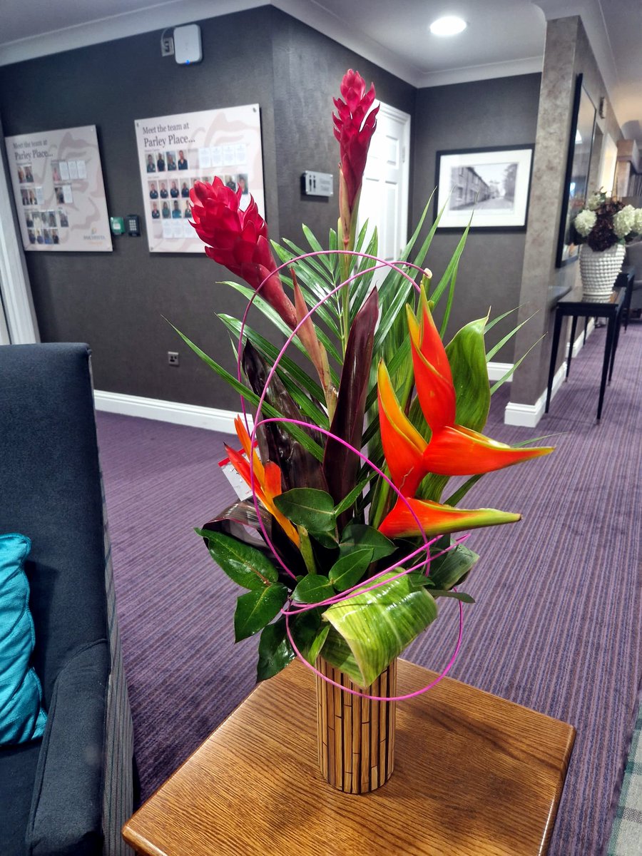 Weekly Reception Flowers @ParleyPlace
created by poppies contact through webpage
#flower #flowerarrangement #floral #flowers #flowerstagram
#kinson #floristsandflowers #receptionflowers
#familybusiness #smallbusinessuk #independentflorist #fyp #flowershop

poppiesfloristbournemouth.co.uk