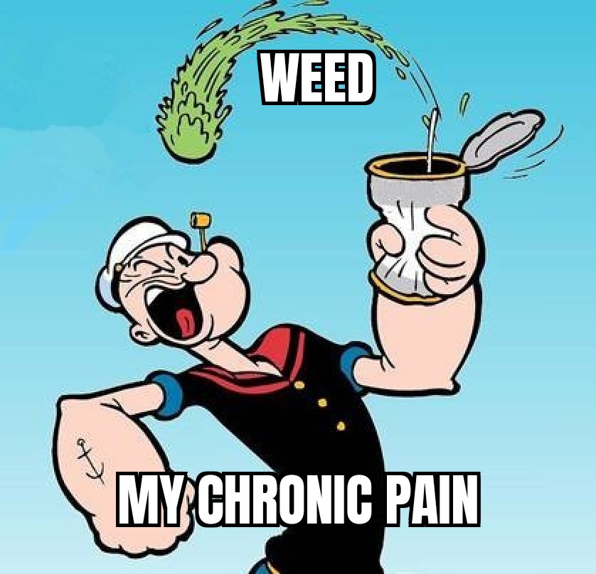 AngryAussieBi's tweet photo. When weed is the only thing that makes a difference with your #chronicpain

#chronicillness #medicinalcannabis #weedmemes https://t.co/TjlrMTmJnQ
