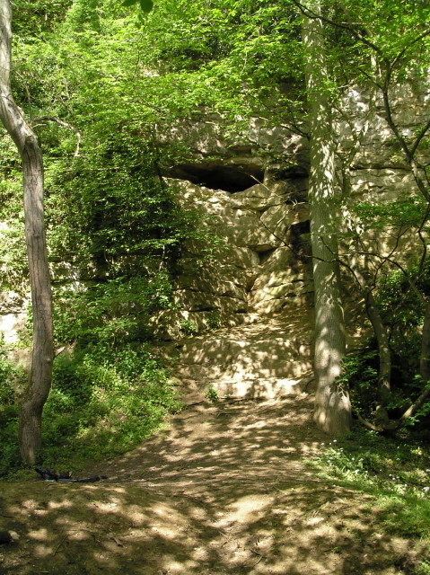 Kirkdale Cave, near Kirkbymoorside, was discovered in 1821 by quarrymen. Inside were the cracked bone fragments of exotic animals like hyenas, elephants, and rhinos. The Reverend William Buckland, an eminent geologist, investigated the site later that year. 1/3