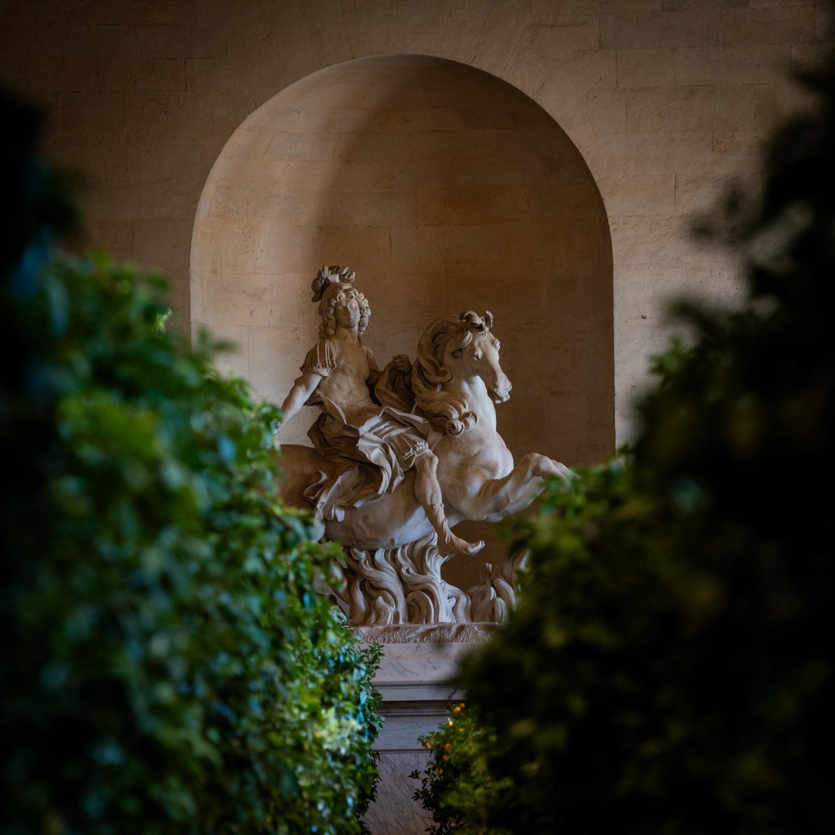 CVersailles tweet picture