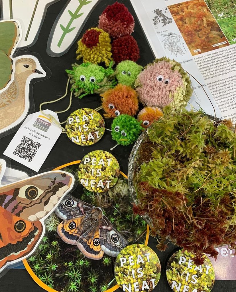 If you’re in Skipton today come and see us at Skipton Eco-Day. We’ll be at the town hall from 13:00-16:00 with plenty to see, do and learn welcometoskipton.com/events/skipton… #GreatNorthBog