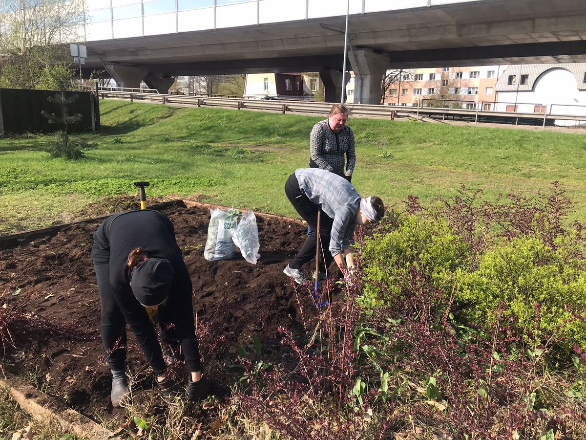 Ciekurkalna's tweet photo. 🌿Nāc un piedalies @LielaTalka Čiekurkalnā! Esam Čiekurkalna bibliotēkas dārzā, Čiekurkalna 5.šķērslīnijā 13 un pie Lielās dobes G.Zemgala xGaujas krustojumā! #Čiekurkalns #talka https://t.co/5DKC1FPdNf