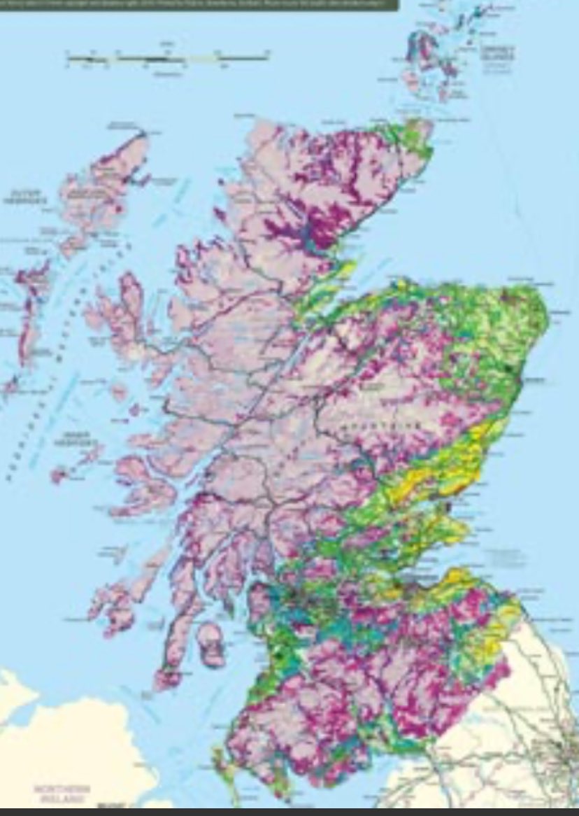 Alex Macleod tweet media