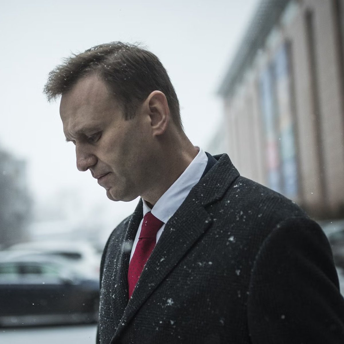 🚨🇺🇸🇷🇺U.S TO PUTIN: WE ADMIT IT, YOU DIDN’T ASSASSINATE NAVALNY A report by U.S intelligence agencies, including the CIA, has concluded that Putin didn’t order the death of Alexei Navalny at a prison camp in February. The report still holds Putin “culpable” for his death due to…