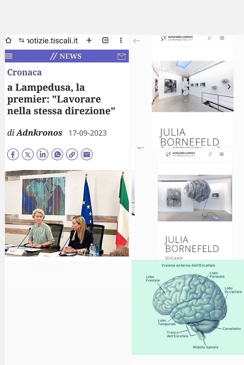 #satira
Forte tiscali.it17/9/2023(art/foto Adnk.):Meloni e von der Leyen a Lampedusa,premier:'Lavorare nella stessa direzione'?Buffo su tavolo,a sinistra Meloni,batuffolonrete tipo opera d'arte'cervellotic'(in etere?)di JuliaBornefeld(cattaniart),no born in USA,ma work a Berlino?