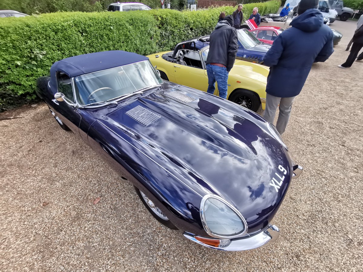 Good morning! Here's a double #Caturday for you from last weekend's #carmeet
#etype.

Do you Jaguar?