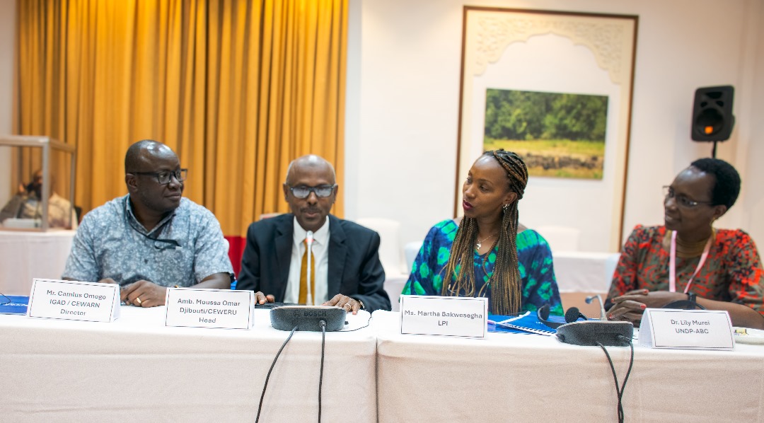 Representing @LPI_voices, thrilled to share that the IGAD ICBT-CBSG meeting was a success. Efforts evaluating outcomes of the 2023 Experts’ Review Meeting will pave the way for a more secure & prosperous future for borderland communities in the Horn. @igadcewarn @UNDPBorderlands