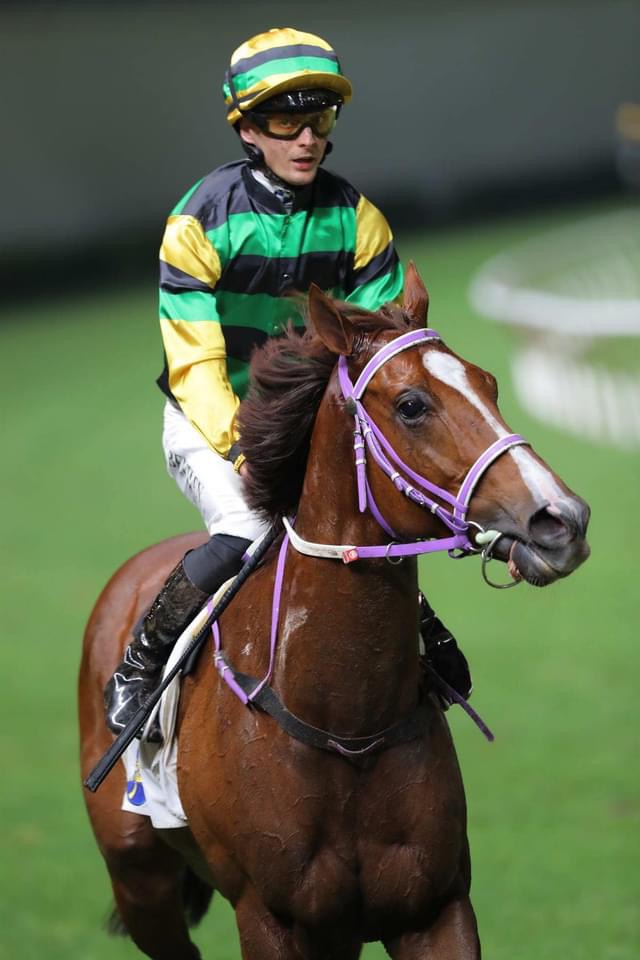 TOAST_Racing's tweet photo. 4/4/24 Our Lucky Glory of TOAST Trust Syndicate wins Busan Handicap (Sec 2) Cl 4 HK$1.17M 1200m at Happy Valley, Hong Kong. A back-to-back win, the margin was 0.75 L in 1:10:31; dividends HK$36.5/HK$15 . Ridden by H Bentley and trained by Chris So Wai-yin. (photos &amp; videos: HKJC) https://t.co/fuaPs0KuiV