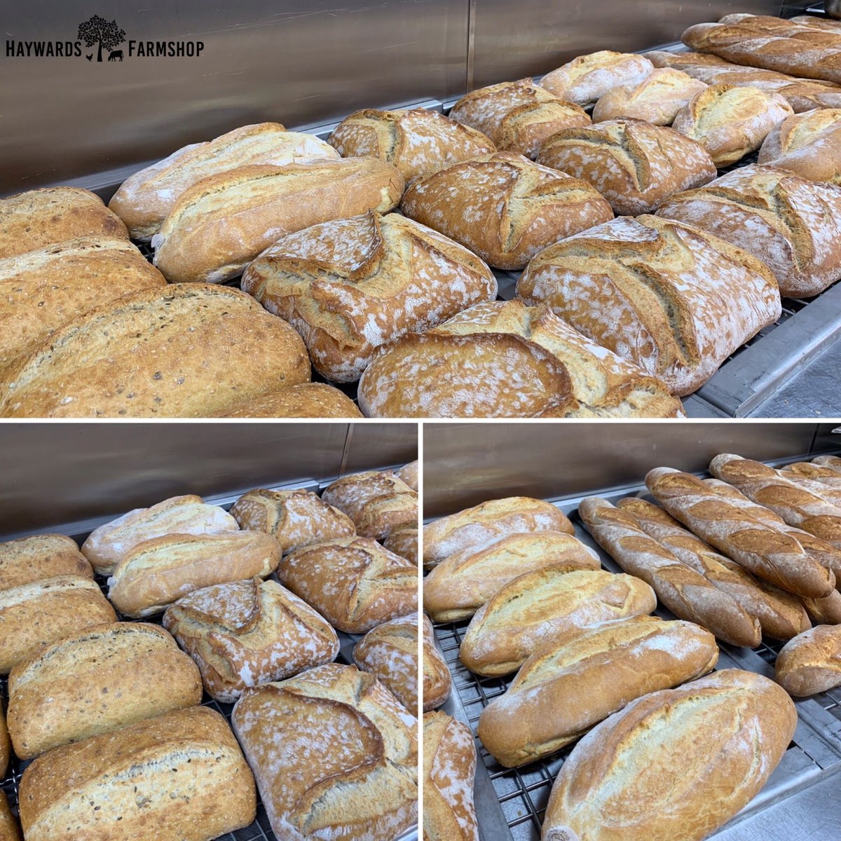 🍞✨ Experience the warmth and aroma of our freshly baked bread, available every day at the Farmshop. Whether you crave a crusty baguette or a fluffy sourdough, we've got your bread needs covered! #FreshBread #Sourdough #Baguette #FarmshopFinds #ShopLocal #Tonbridge #Haywards1990