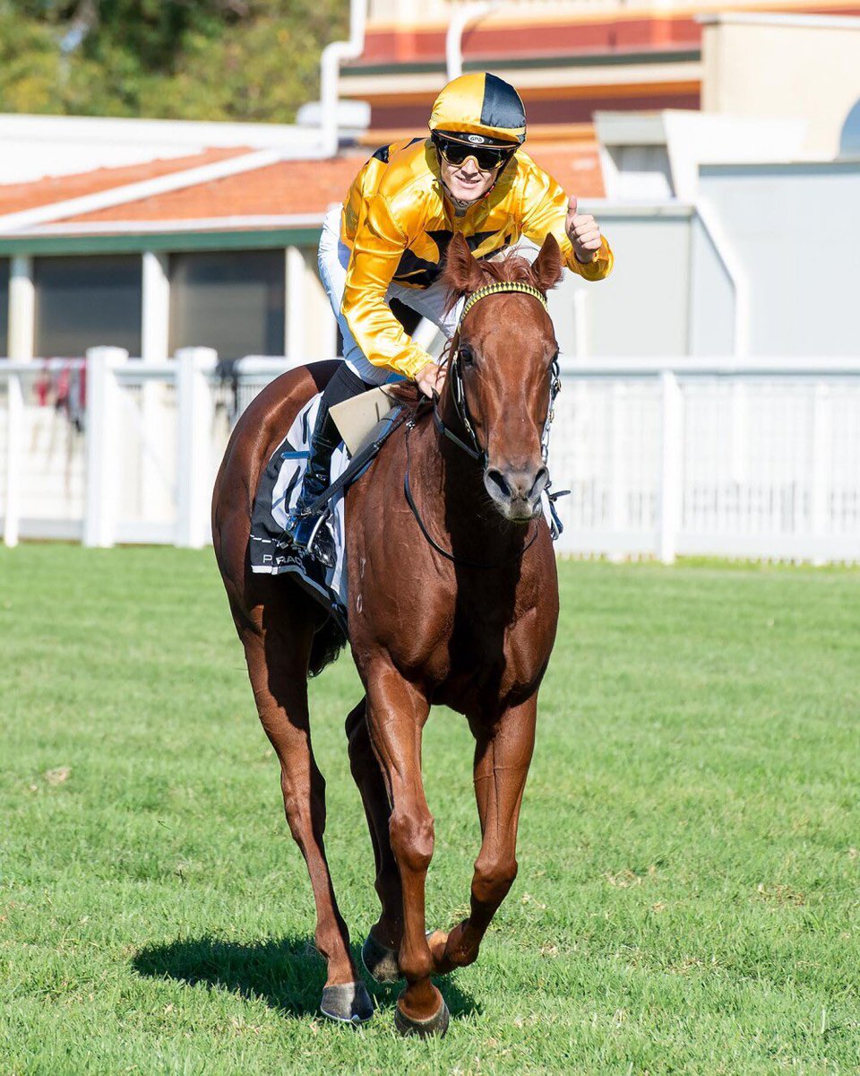 The filly beats the mares in the Sheila Gwynne Classic 👏