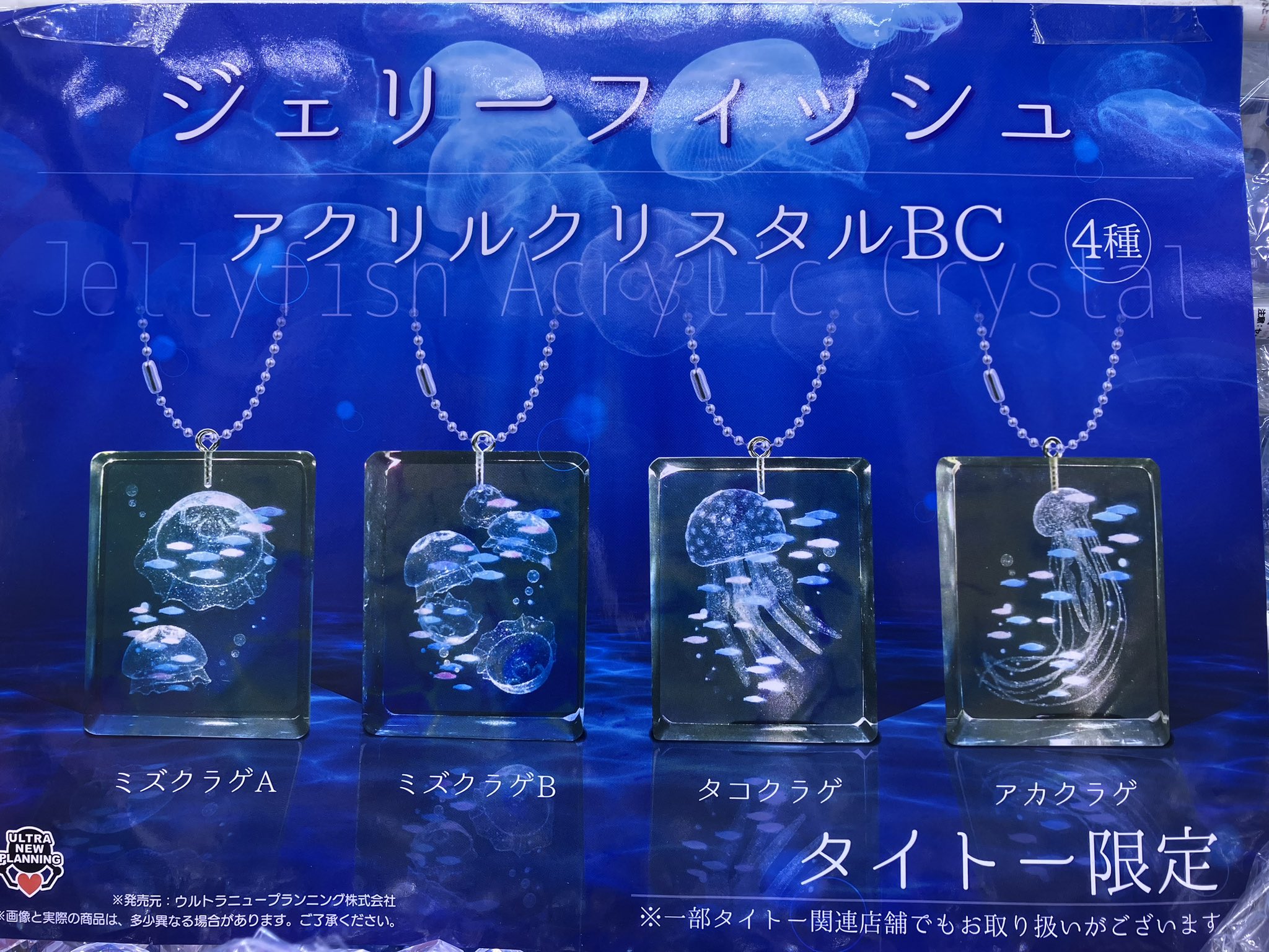 sec クリスタルジェリーフィッシュ sec クリスタルジェリーフィッシュ sec クリスタルジェリーフィッシュ