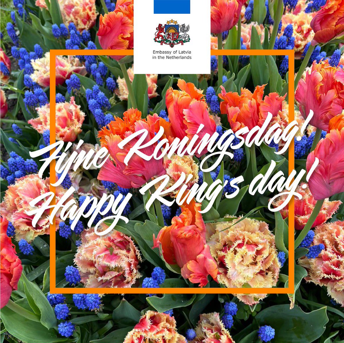 Best wishes to His Majesty King Willem-Alexander on his 57th birthday! And happy #Koningsdag to all our Dutch friends! 🌷