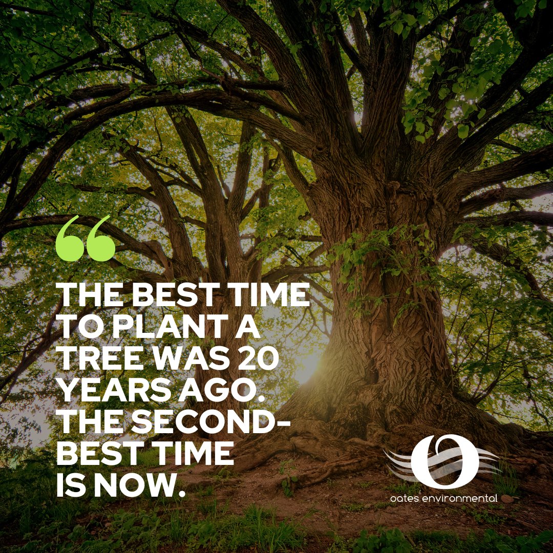 “The best time to plant a tree was 20 years ago. The second-best time is now.”

From everyone at Oates Environmental, we have you have a great weekend!

#motivationquotes #leeds #wastemanagement #waste #recycling #recycle #environment #wastedisposal #reuse #hazardouswaste
