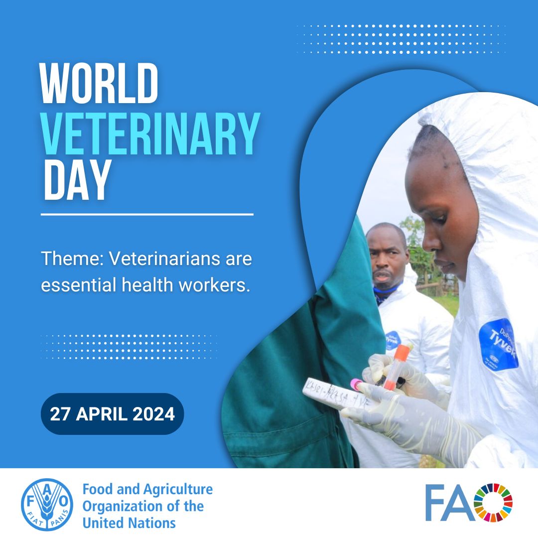 Resilient veterinarians are our #OneHealth heroes! Join @FAO, @MAAIF_Uganda and @Ugveterinarians in celebrating all veterinary professionals. Happy #WorldVeterinaryDay! #VeterinaryDayUG #VetDayUG