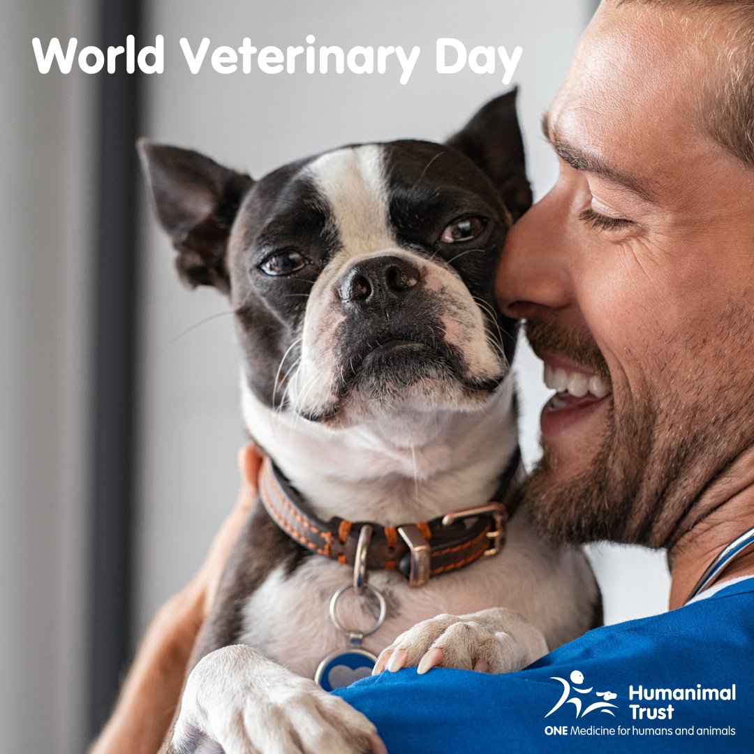 Today is World Veterinary Day! It's a day to celebrate our wonderful veterinary professionals who care for our animal companions we share this planet with. Thank you for everything you do. #OneMedicine #AllPatientsMatter #WVD2024 #WorldVeterinaryDay