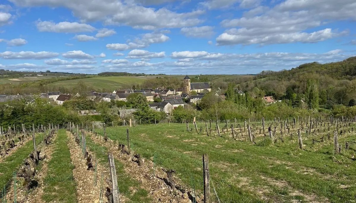 Following up on her article earlier this week, Jancis describes the quiet revolution in Sancerre, Pouilly-Fumé and surrounding appellations. jancisrobinson.com/articles/centr…