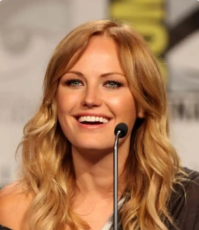 The Most Stunning Swedish Actresses
🧵 
1. Malin Akerman