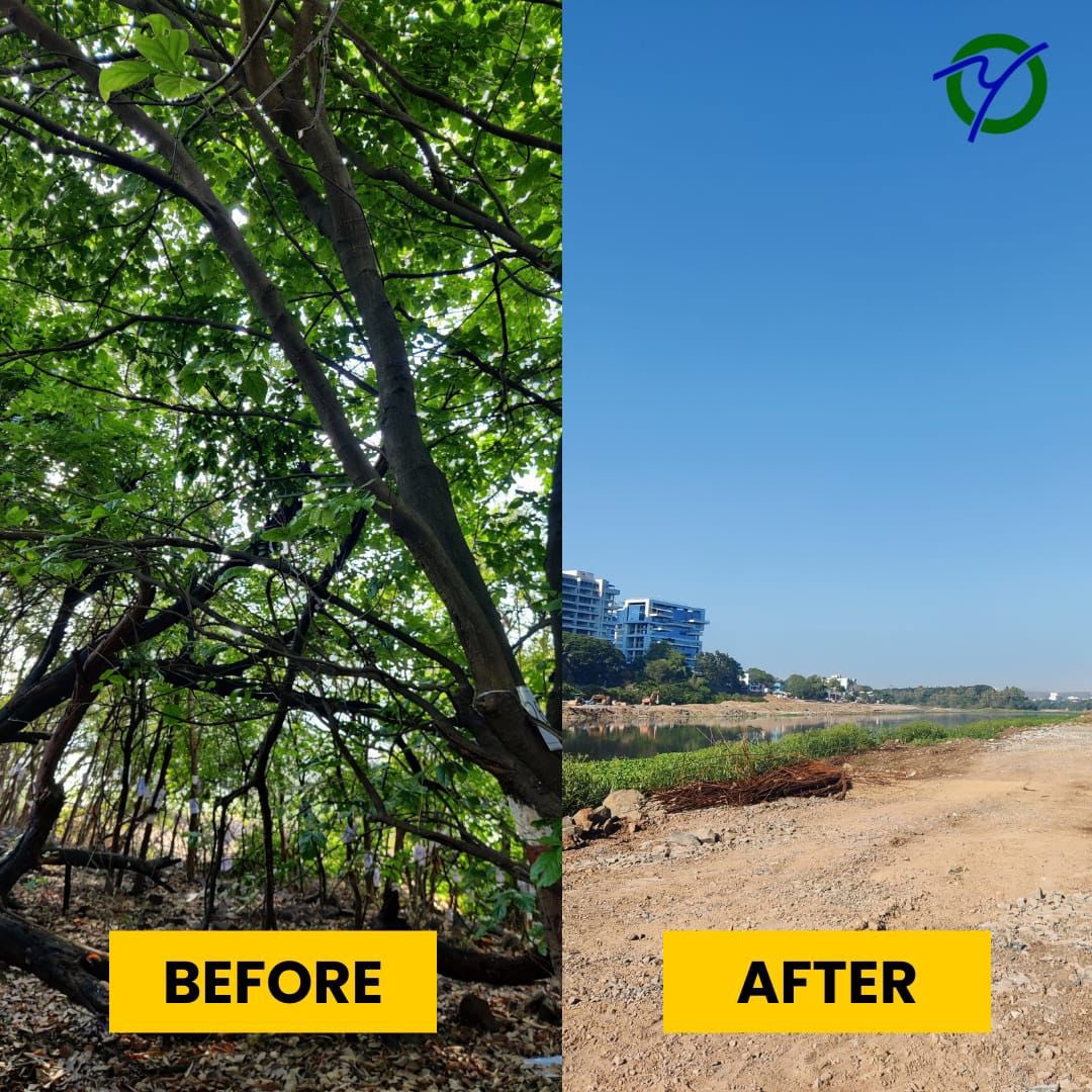 ChaloChipko On 29th April last year, things came to a head when Pune realised that we are being made fools out of as our green cover is simply being massacred to build shiny new projects which don’t seem to deliver any promise. Over a lakh endemic shrubs, vines, grasses,