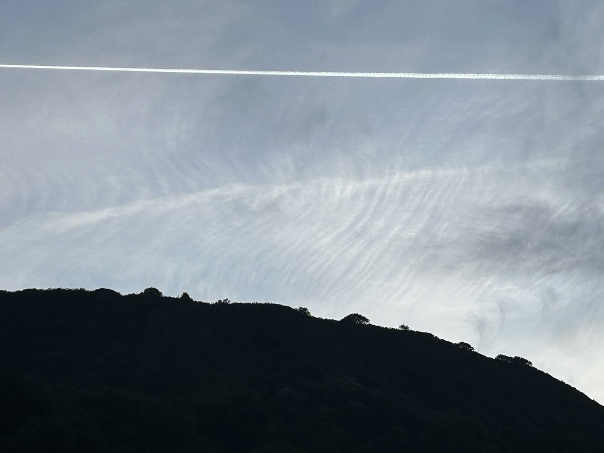 stuartkirsch's tweet image. May the wonders or Shabbat and our season of freedom bless us each with peace and wholeness. Let us build our broken world from love. #ShabbatShalom