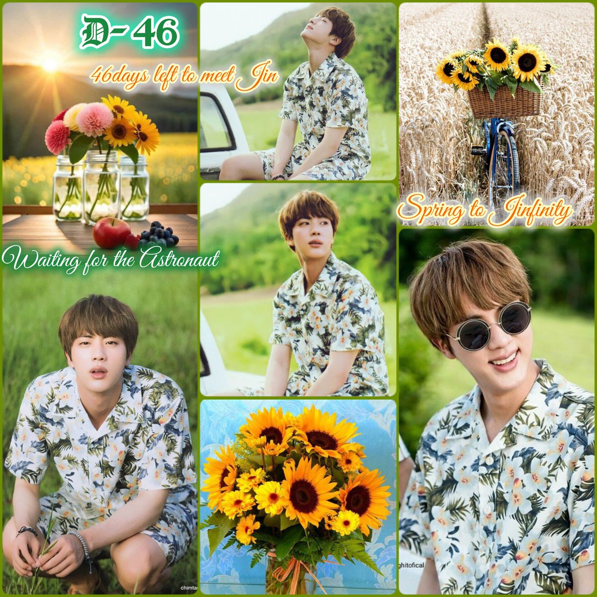 LovelyJin412's tweet photo. D-4️⃣6️⃣
#1months16days left
#46days left to meet Jin
#501days
#WaitingForTheAstronaut
#Dear_Jin_from_ARMY
#SpringToJinfinity
#방탄소년단진 #kimseokjin
#BTSJIN #김석진 #jin https://t.co/oa8huAO53c