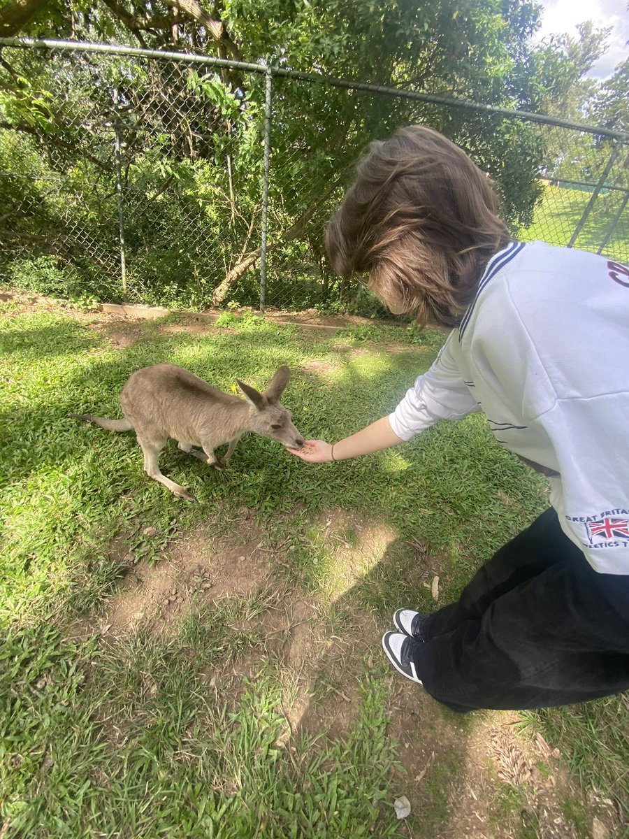 that one australian oomf just hanging out w the koalas and kangaroos in their freetime