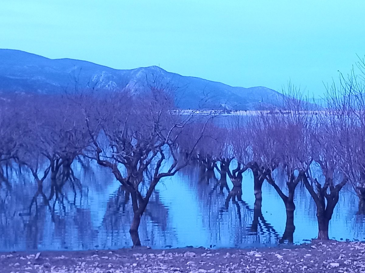 Λίμνη Κάρλα. 8 μήνες μετά την κακοκαιρία....Σαν ταινία του Αγγελόπουλου.