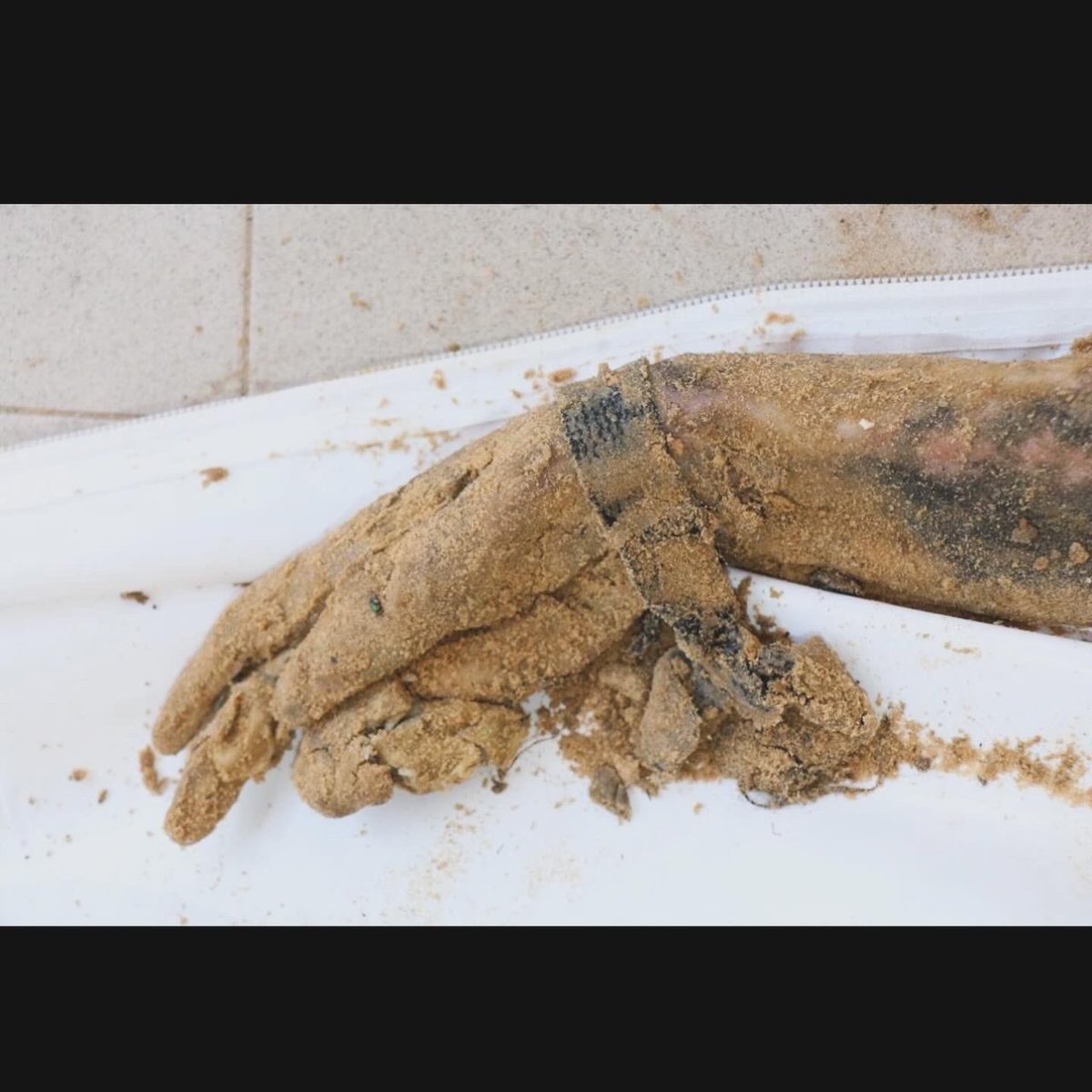 ceolawyer tweet media