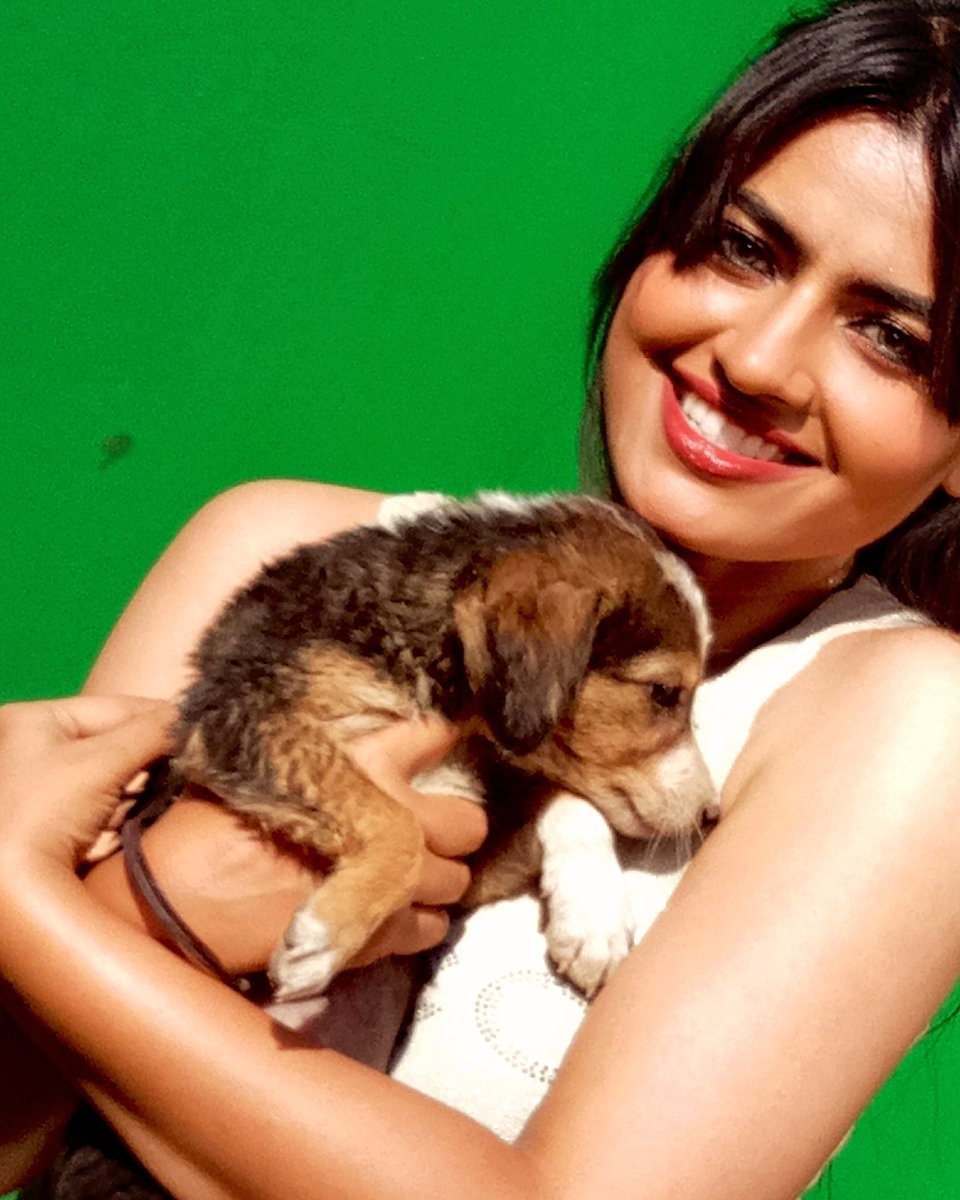 While shooting on set, we met with this lovely puppy 💚🧡 life is filled with pure joyful moments . So much to b #grateful in life🤩 everybody on set was happy and included the puppy in my photoshoot