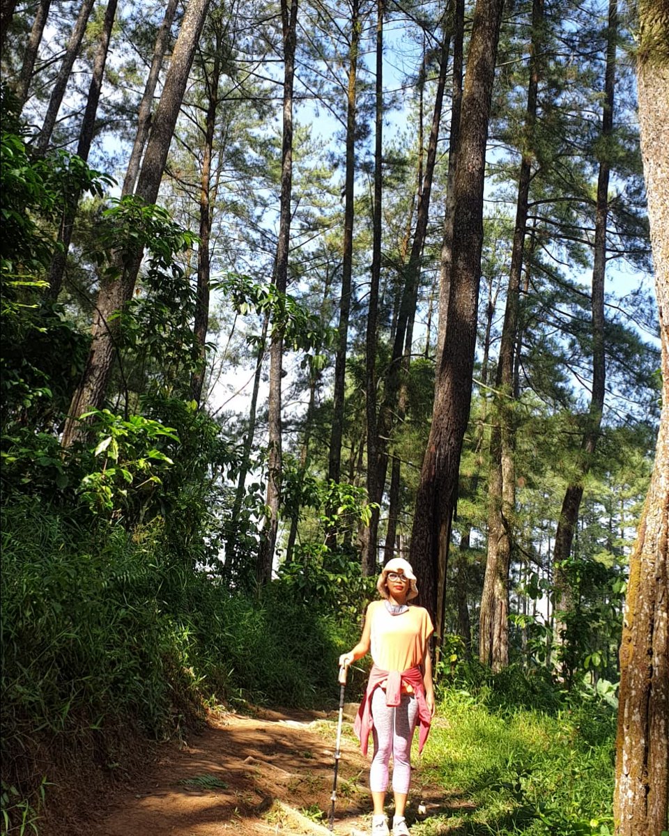 Aku ketika jadi peri hutan