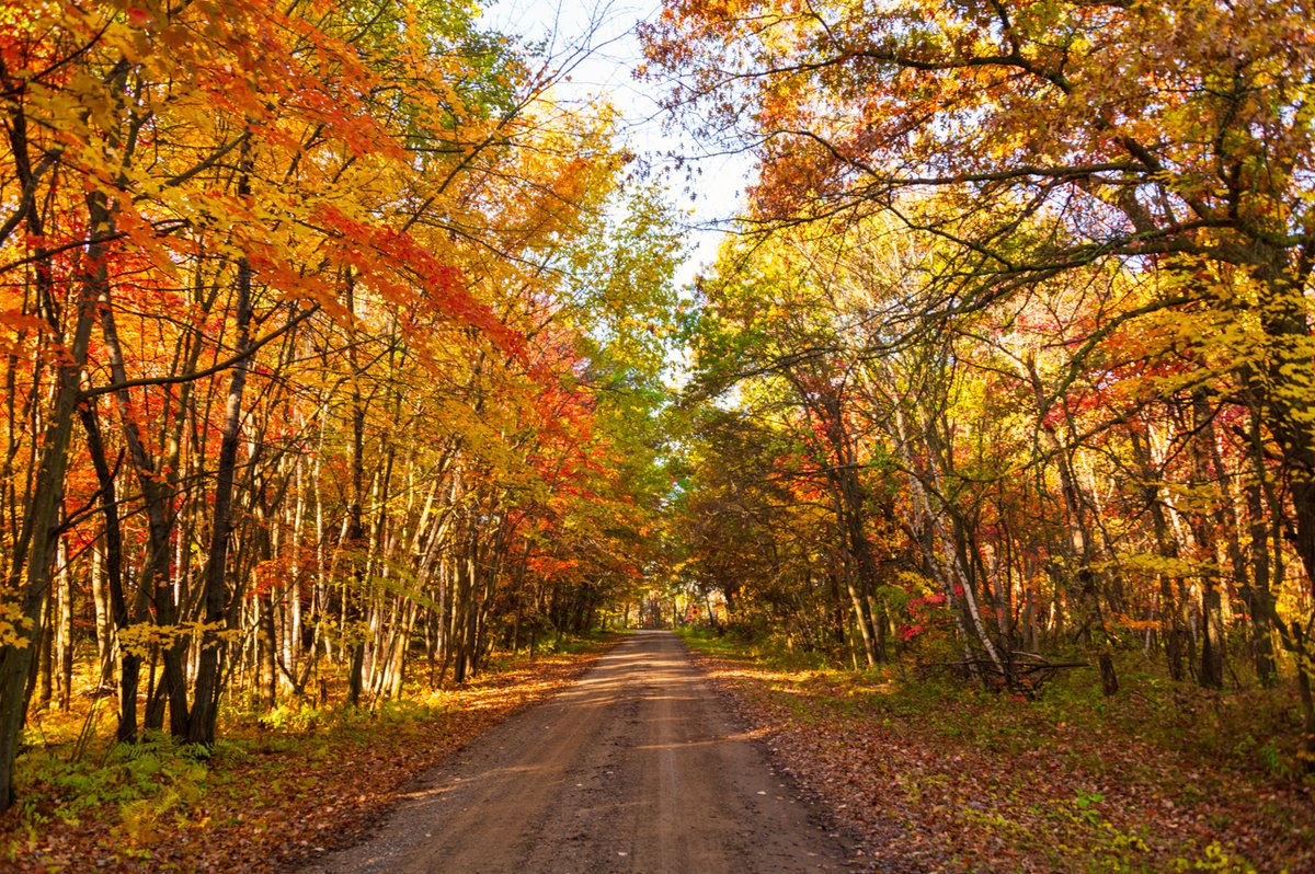 Autumn Beauty
Autumn Landscape: #autumn #autumncolors #fall #fallcolors #leaves #trees #foliage #landscapephotography #landscape #landscapelovers #landscapecaptures