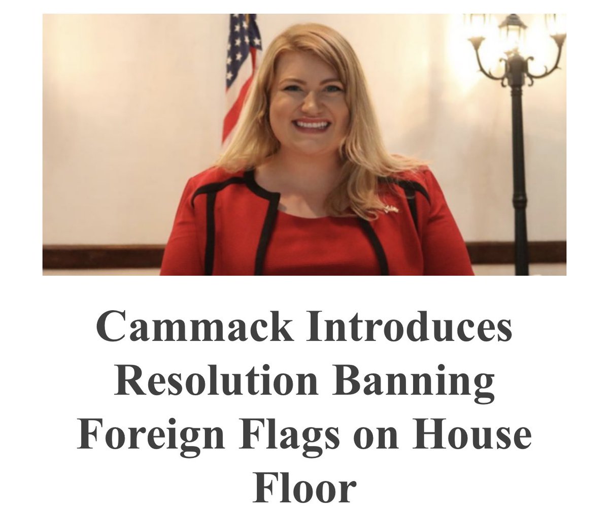 Speaker Johnson has his priorities mixed up, instead of fining people for posting video of congress waiving Ukrainian flags… 🇺🇸 Florida Rep Cammack is introducing legislation to prohibit flying anything but Old Glory.