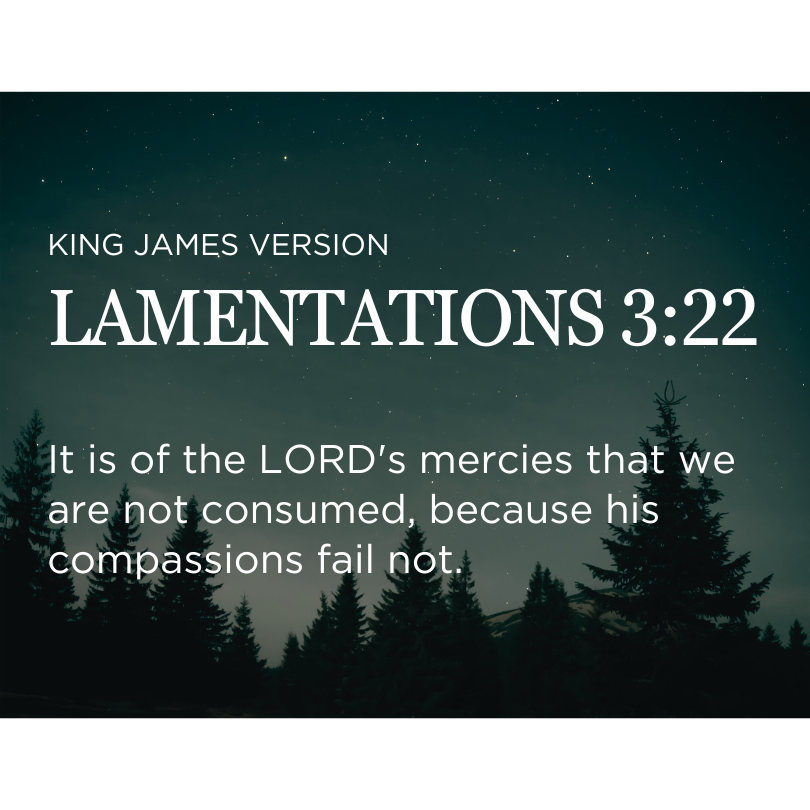 LAMENTATIONS 3:22
KING JAMES VERSION

It is of the LORD's mercies that we are not consumed, because his compassions fail not.

#TheJoyInServingGod
#MCGICares