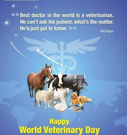 I am proud to be a veterinarian😊
 #WorldVeterinaryDay 
#विश्व_पशुचिकित्सा_दिवस