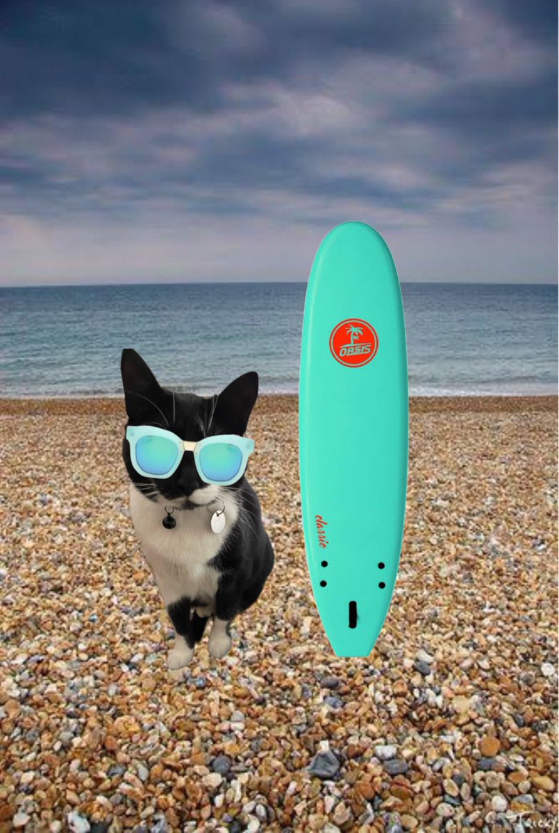 Weethor reporte: Brighton Beach England - 12:00PM Saturday 27 - twelbe degwree an cloudee chanse of wain mes hearings dis beesh goodest fored surfe kittee cates butta itta so colde an mine mumb forgotted mine wettor suite! Canna yous beliebe?! #MitziWeatherCat #CatsOfX #CatsOnX